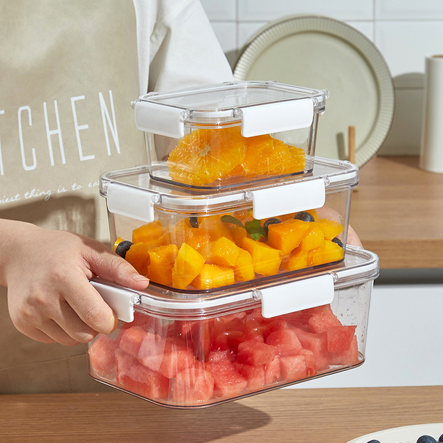 プラスチック保存箱